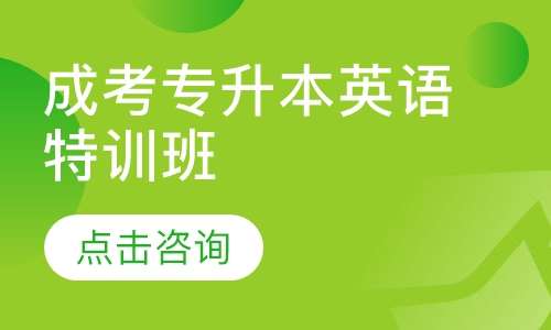 成考专升本英语特训班