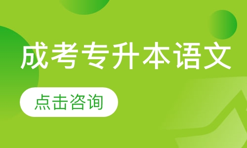 成考专升本语文班